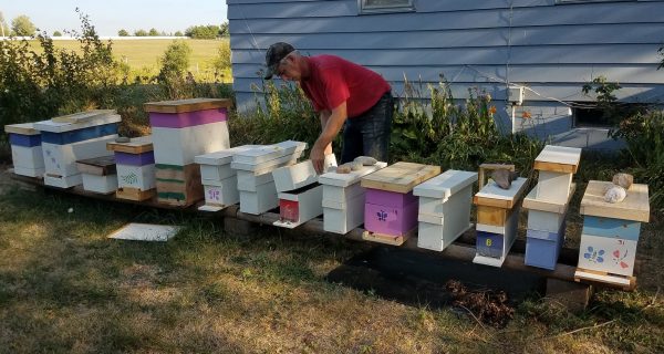 INTRODUCTION TO BEEKEEPING