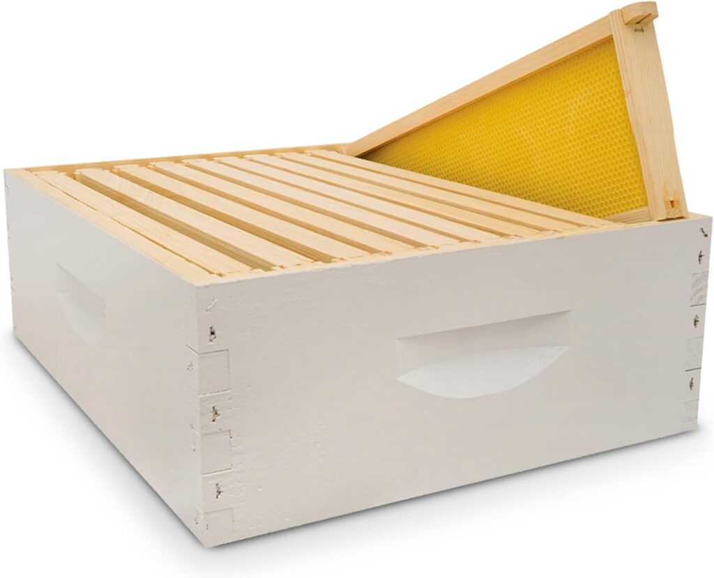 Mann Lake Hive Body Bundle, Assembled, 10-Frame, Painted, Beekeeping, Bee Box, Beekeeping Supplies, Harvest Honey, Includes 10 Assembled Frames w/Plastic Coated Foundation